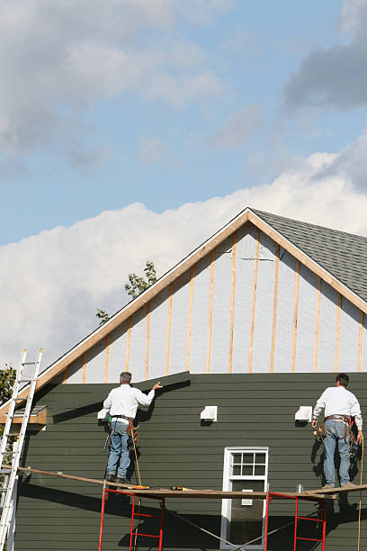 Best Shed Removal  in USA